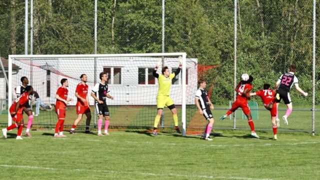 Klingnau_01